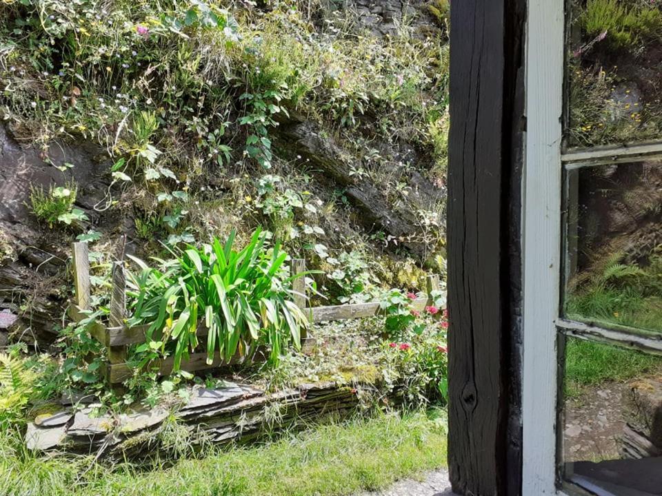 Albergue Escanlar Lugo Luaran gambar